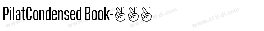 PilatCondensed Book字体转换